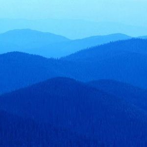 Meet your Posher, Bella